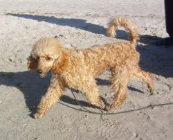 Lubmin 027